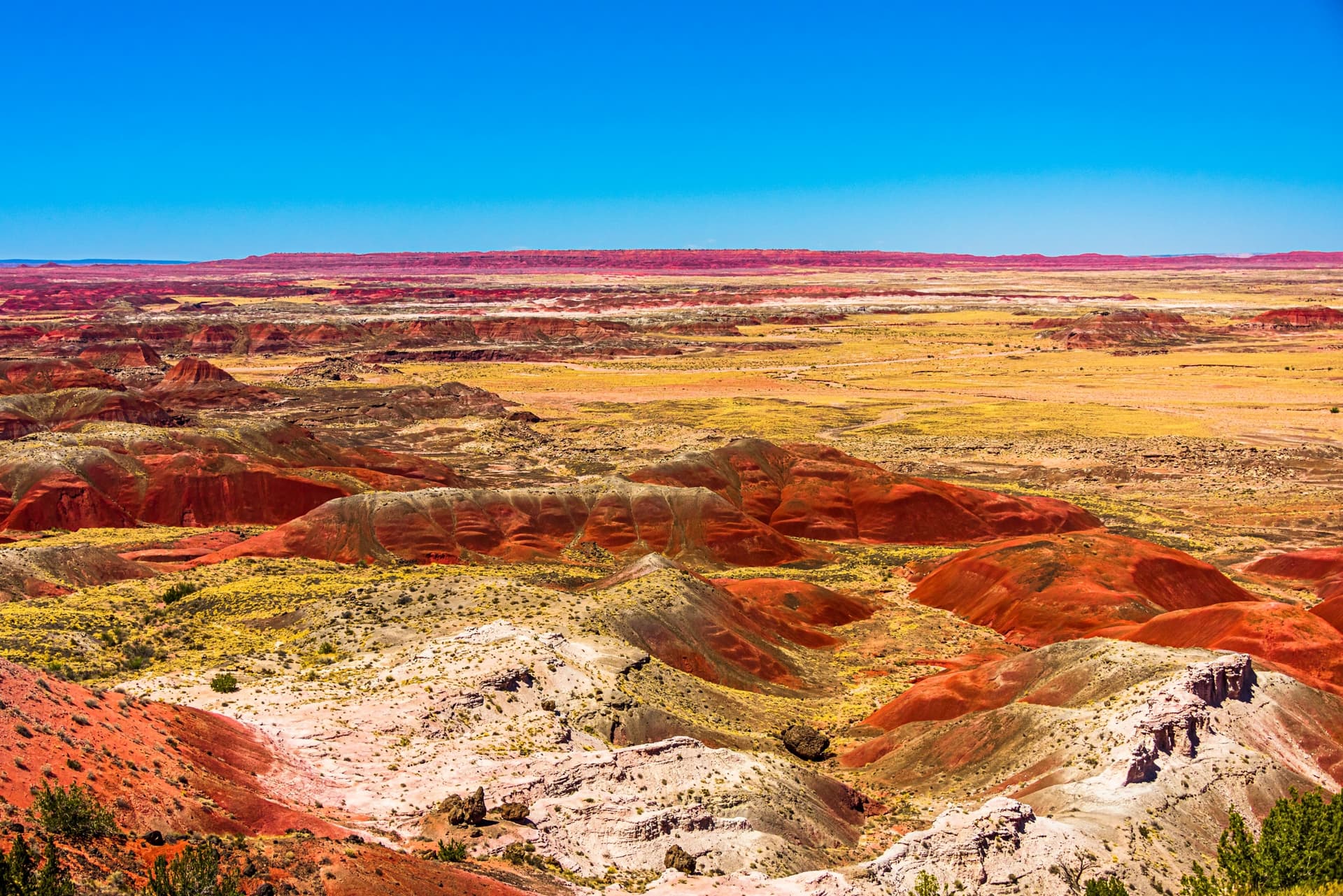 le painted desert 1