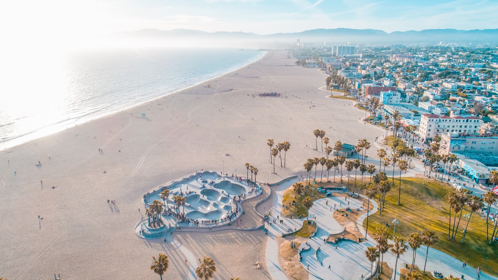 venice beach 6554791252c8d5755cd67570
