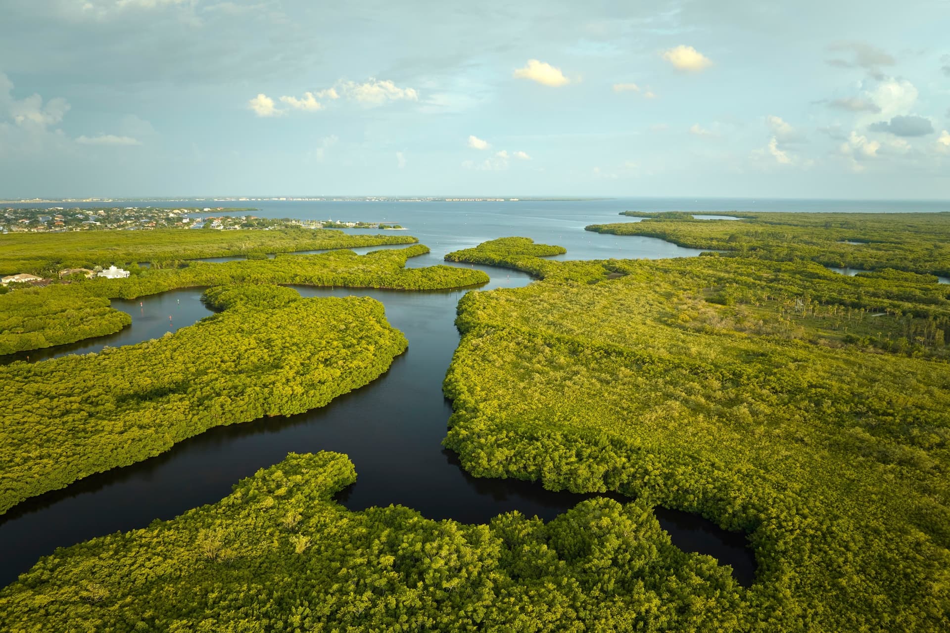 What to See and Do in the Everglades