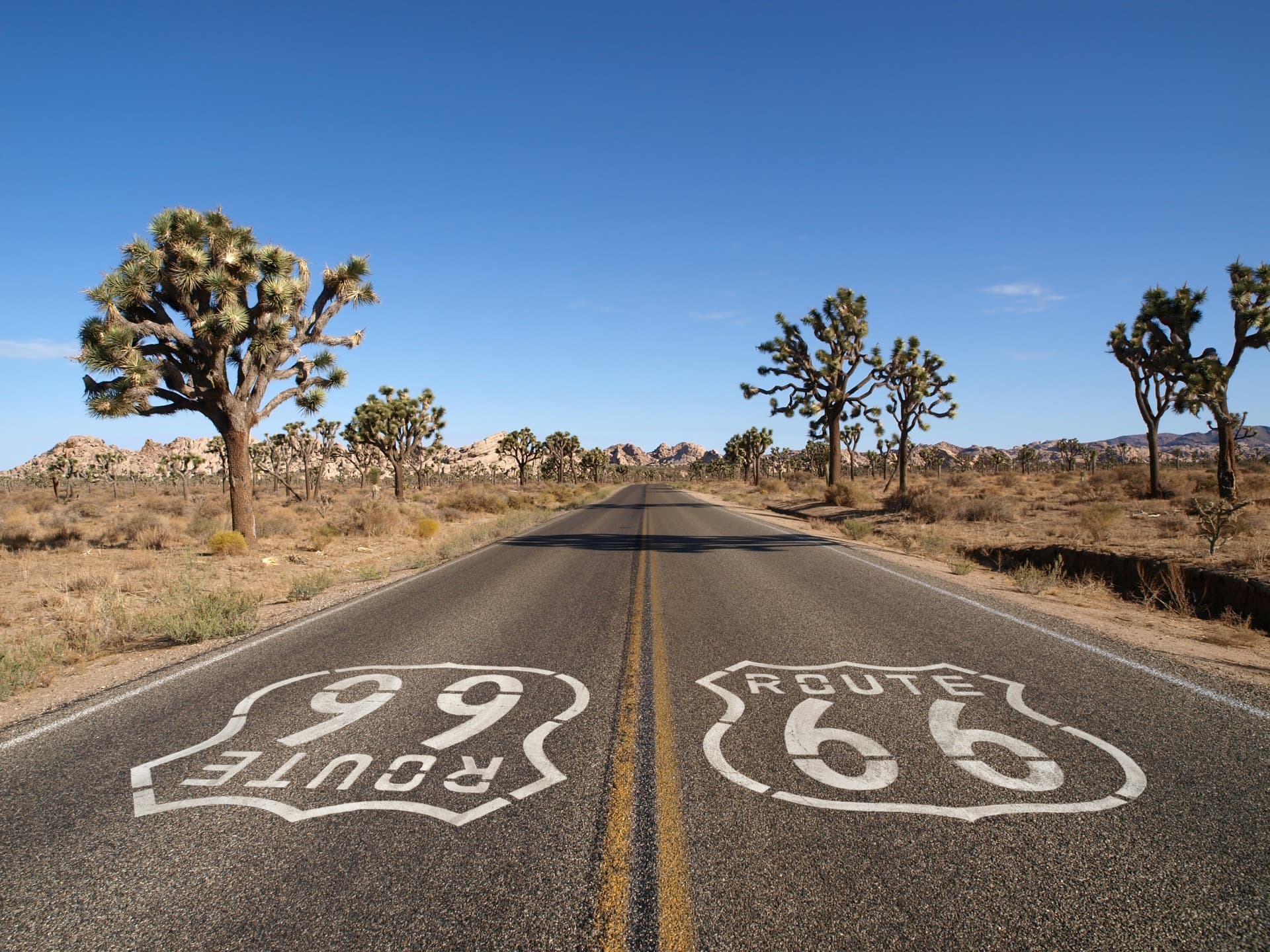 route 66