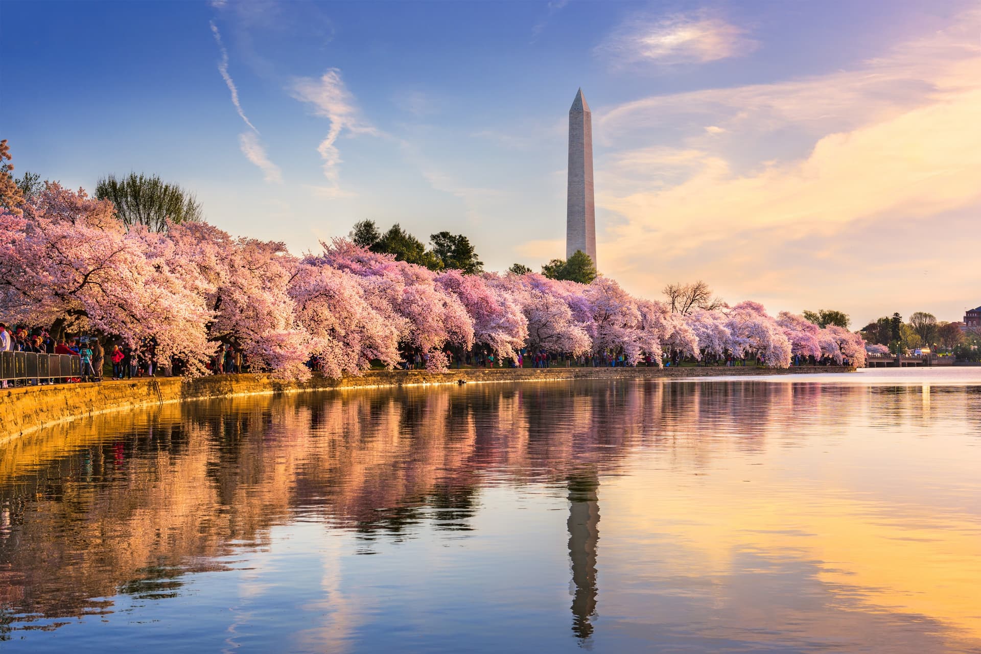Spring Travel to the United States