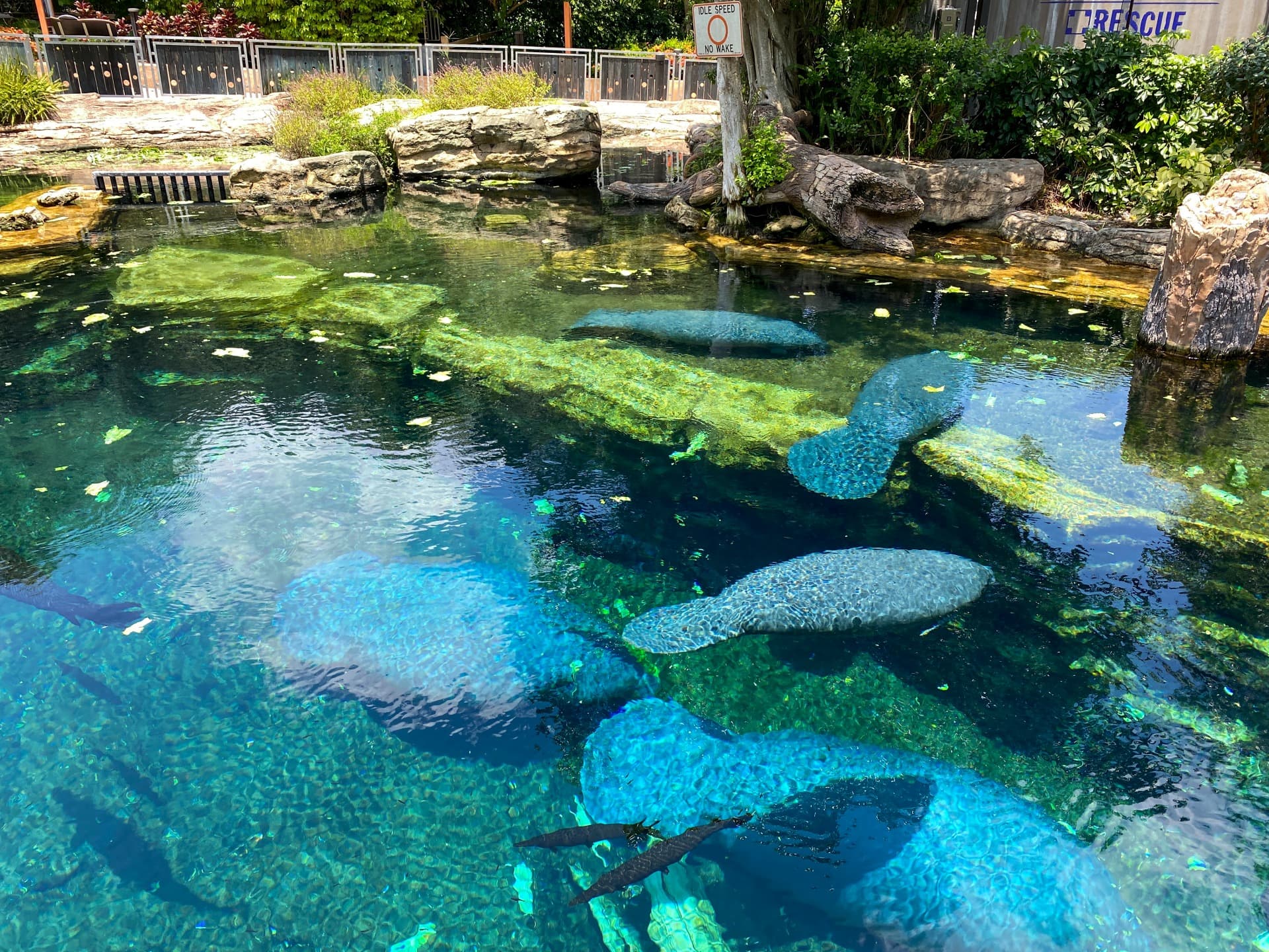 Manatee Park