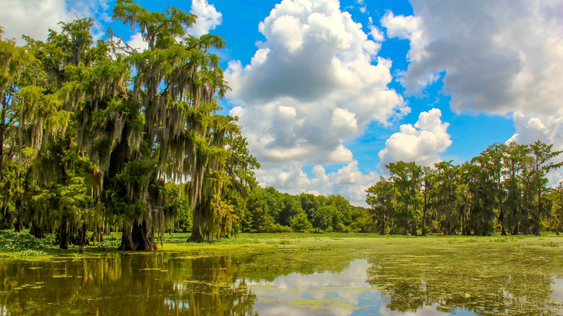 The Deep South