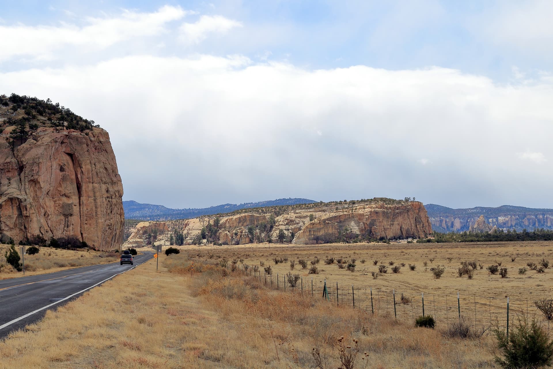 gallup