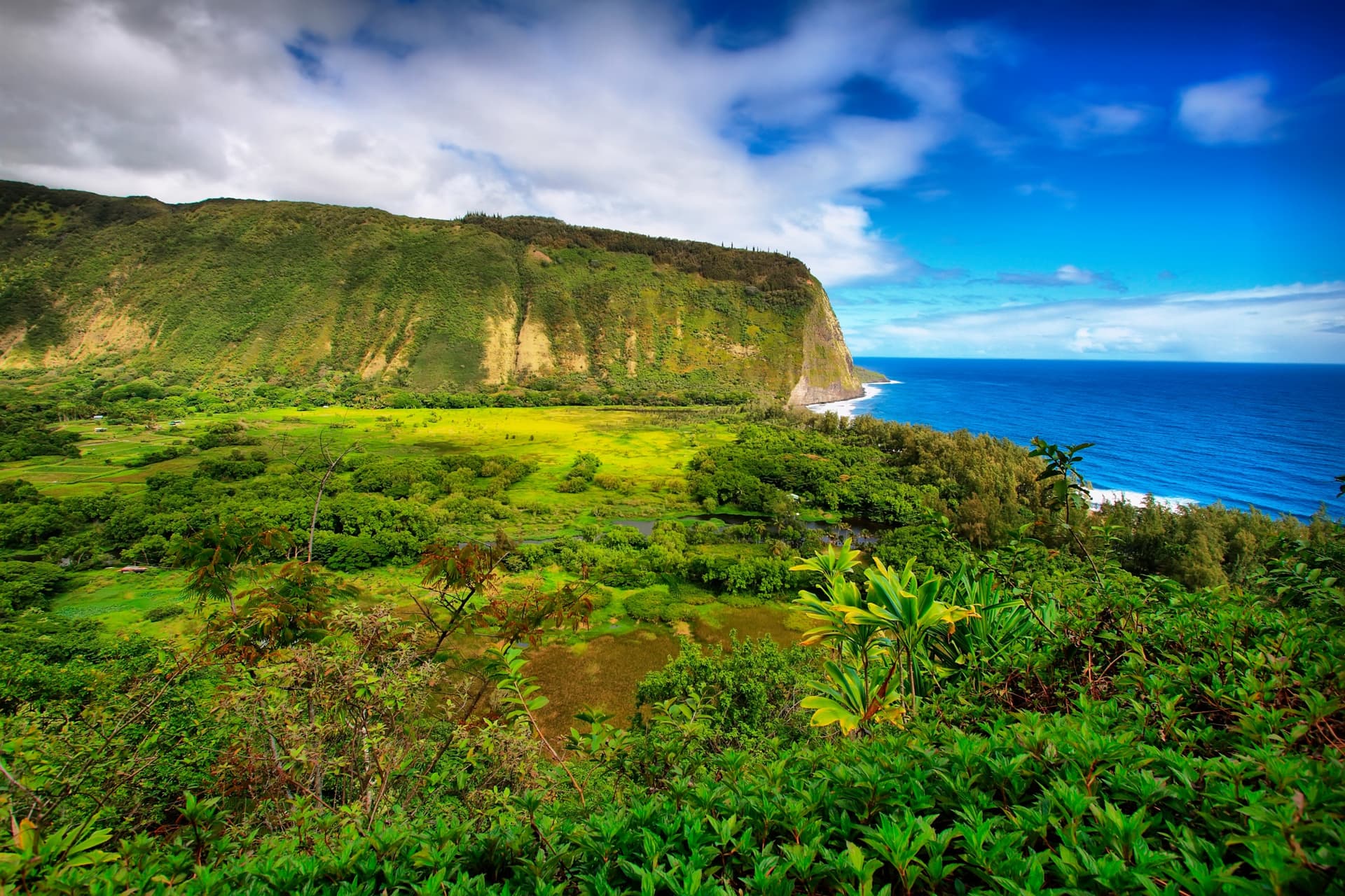 Waipio Valley