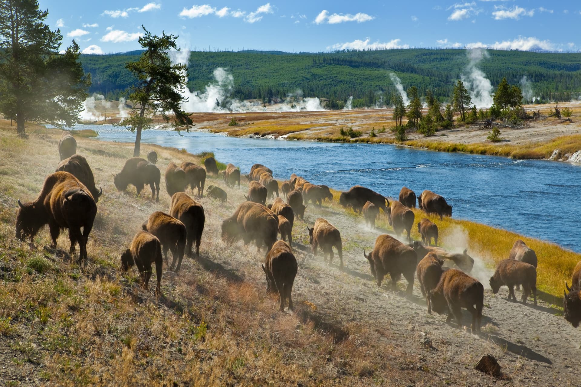 The Top 10 National Parks to Visit in the États-Unis